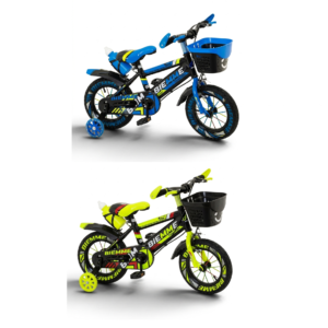 Bicicleta R-12 Explorbike Biemme